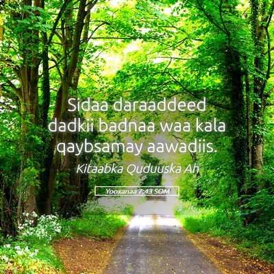Picture 05 - Yooxanaa 7:43 SOM - Sidaa daraaddeed dadkii badnaa waa kala qaybsamay - Bible Verse Picture