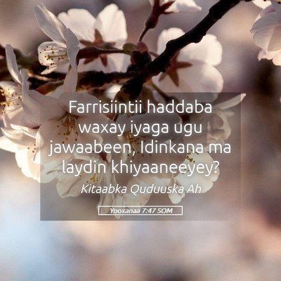 Picture 05 - Yooxanaa 7:47 SOM - Farrisiintii haddaba waxay iyaga ugu jawaabeen, - Bible Verse Picture