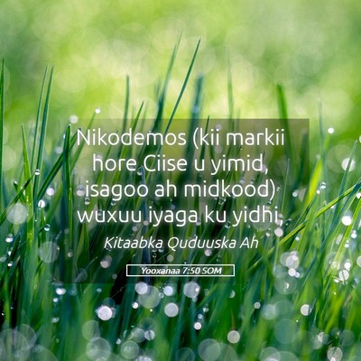 Picture 05 - Yooxanaa 7:50 SOM - Nikodemos (kii markii hore Ciise u yimid, isagoo - Bible Verse Picture