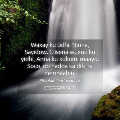 Picture 05 - Yooxanaa 8:11 SOM - Waxay ku tidhi, Ninna, Sayidow. Ciisena wuxuu ku - Bible Verse Picture