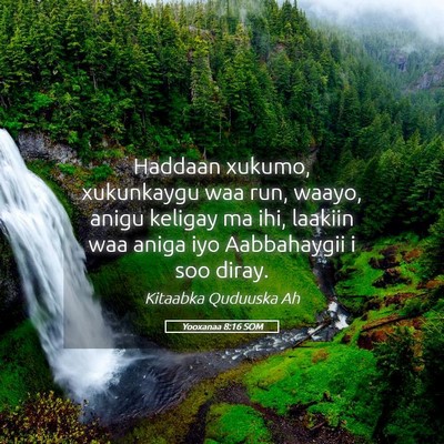 Picture 05 - Yooxanaa 8:16 SOM - Haddaan xukumo, xukunkaygu waa run, waayo, anigu - Bible Verse Picture