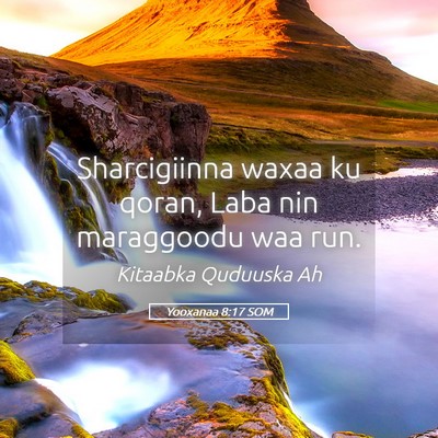 Picture 05 - Yooxanaa 8:17 SOM - Sharcigiinna waxaa ku qoran, Laba nin maraggoodu - Bible Verse Picture