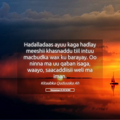 Picture 05 - Yooxanaa 8:20 SOM - Hadalladaas ayuu kaga hadlay meeshii khasnaddu - Bible Verse Picture
