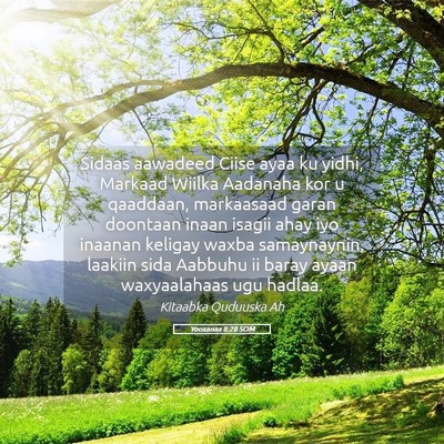 Picture 05 - Yooxanaa 8:28 SOM - Sidaas aawadeed Ciise ayaa ku yidhi, Markaad - Bible Verse Picture