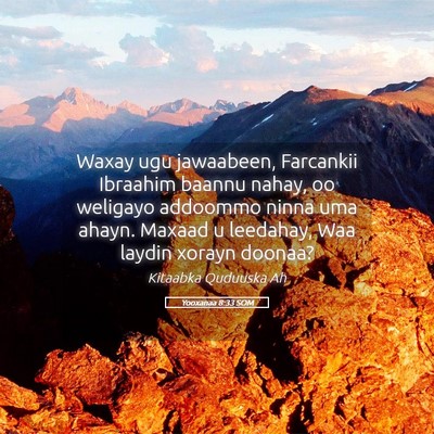 Picture 05 - Yooxanaa 8:33 SOM - Waxay ugu jawaabeen, Farcankii Ibraahim baannu - Bible Verse Picture