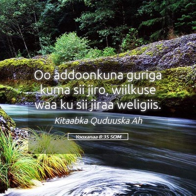Picture 05 - Yooxanaa 8:35 SOM - Oo addoonkuna guriga kuma sii jiro, wiilkuse waa - Bible Verse Picture