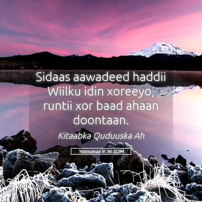 Picture 05 - Yooxanaa 8:36 SOM - Sidaas aawadeed haddii Wiilku idin xoreeyo, - Bible Verse Picture