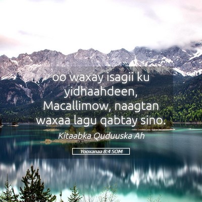 Picture 05 - Yooxanaa 8:4 SOM - oo waxay isagii ku yidhaahdeen, Macallimow, - Bible Verse Picture