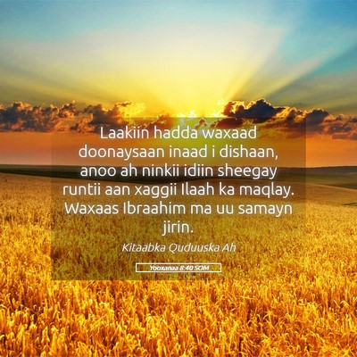 Picture 05 - Yooxanaa 8:40 SOM - Laakiin hadda waxaad doonaysaan inaad i dishaan, - Bible Verse Picture