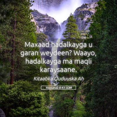 Picture 05 - Yooxanaa 8:43 SOM - Maxaad hadalkayga u garan weydeen? Waayo, - Bible Verse Picture