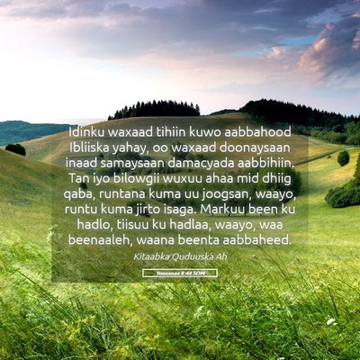 Picture 05 - Yooxanaa 8:44 SOM - Idinku waxaad tihiin kuwo aabbahood Ibliiska - Bible Verse Picture