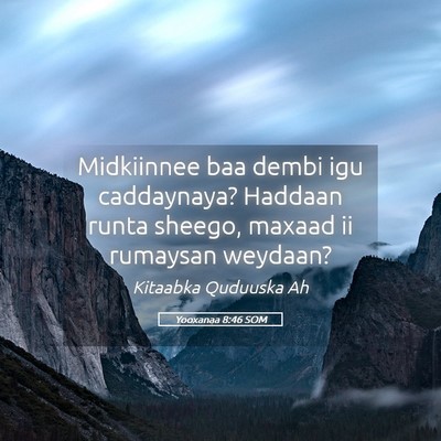 Picture 05 - Yooxanaa 8:46 SOM - Midkiinnee baa dembi igu caddaynaya? Haddaan - Bible Verse Picture