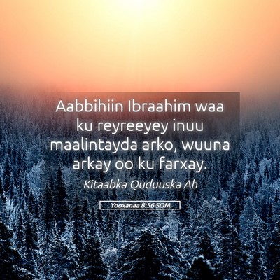 Picture 05 - Yooxanaa 8:56 SOM - Aabbihiin Ibraahim waa ku reyreeyey inuu - Bible Verse Picture