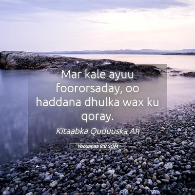 Picture 05 - Yooxanaa 8:8 SOM - Mar kale ayuu foororsaday, oo haddana dhulka wax - Bible Verse Picture