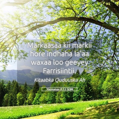 Picture 05 - Yooxanaa 9:13 SOM - Markaasaa kii markii hore indhaha la'aa waxaa loo - Bible Verse Picture