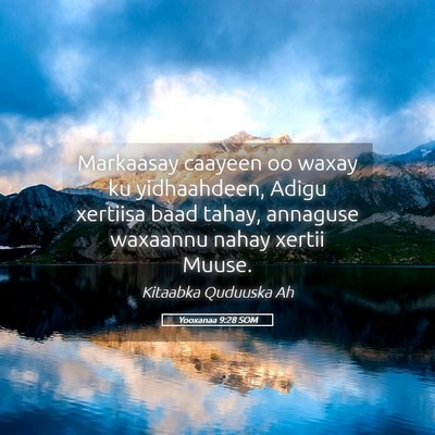 Picture 05 - Yooxanaa 9:28 SOM - Markaasay caayeen oo waxay ku yidhaahdeen, Adigu - Bible Verse Picture