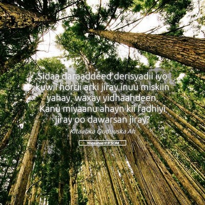 Picture 05 - Yooxanaa 9:8 SOM - Sidaa daraaddeed derisyadii iyo kuwii hortii arki - Bible Verse Picture