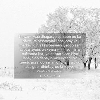 Picture 05 - Yuudas 1:12 SOM - Kuwanu waa dhagaxyo qarsoon oo ku dhex jira - Bible Verse Picture