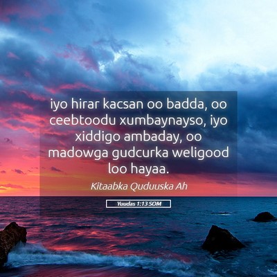 Picture 05 - Yuudas 1:13 SOM - iyo hirar kacsan oo badda, oo ceebtoodu - Bible Verse Picture
