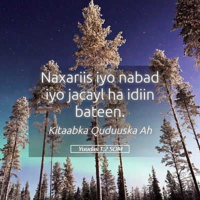 Picture 05 - Yuudas 1:2 SOM - Naxariis iyo nabad iyo jacayl ha idiin - Bible Verse Picture
