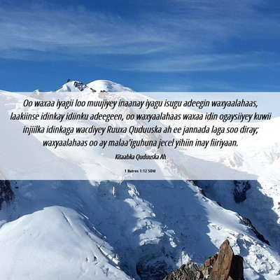 Picture 06 - 1 Butros 1:12 SOM - Oo waxaa iyagii loo muujiyey inaanay iyagu isugu - Bible Verse Picture