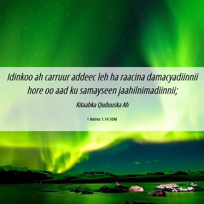 Picture 06 - 1 Butros 1:14 SOM - Idinkoo ah carruur addeec leh ha raacina - Bible Verse Picture