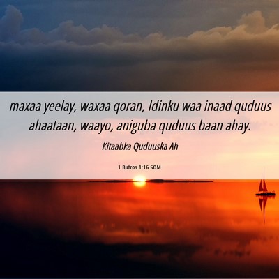 Picture 06 - 1 Butros 1:16 SOM - maxaa yeelay, waxaa qoran, Idinku waa inaad - Bible Verse Picture