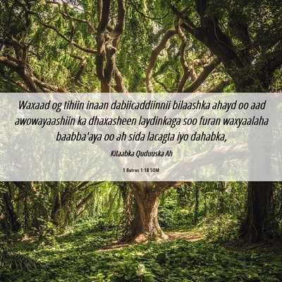Picture 06 - 1 Butros 1:18 SOM - Waxaad og tihiin inaan dabiicaddiinnii bilaashka - Bible Verse Picture