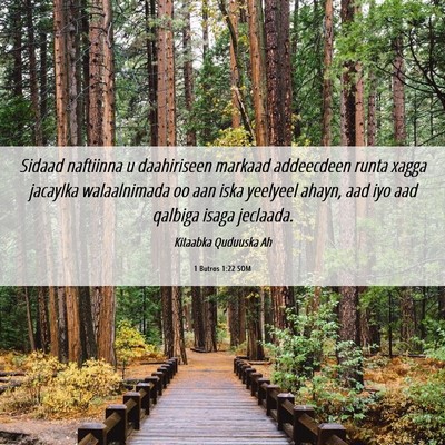 Picture 06 - 1 Butros 1:22 SOM - Sidaad naftiinna u daahiriseen markaad addeecdeen - Bible Verse Picture