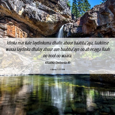 Picture 06 - 1 Butros 1:23 SOM - Idinka mar kale laydinkuma dhalin abuur - Bible Verse Picture