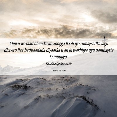 Picture 06 - 1 Butros 1:5 SOM - Idinku waxaad tihiin kuwo xoogga Ilaah iyo - Bible Verse Picture