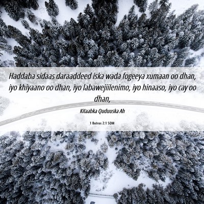 Picture 06 - 1 Butros 2:1 SOM - Haddaba sidaas daraaddeed iska wada fogeeya - Bible Verse Picture