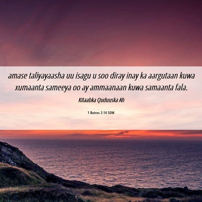 Picture 06 - 1 Butros 2:14 SOM - amase taliyayaasha uu isagu u soo diray inay ka - Bible Verse Picture