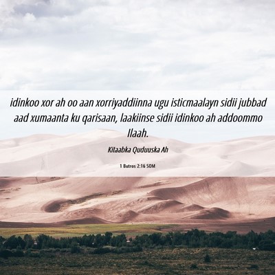 Picture 06 - 1 Butros 2:16 SOM - idinkoo xor ah oo aan xorriyaddiinna ugu - Bible Verse Picture