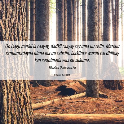 Picture 06 - 1 Butros 2:23 SOM - Oo isagu markii la caayay, dadkii caayay cay uma - Bible Verse Picture