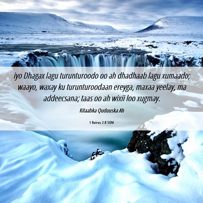 Picture 06 - 1 Butros 2:8 SOM - iyo Dhagax lagu turunturoodo oo ah dhadhaab lagu - Bible Verse Picture
