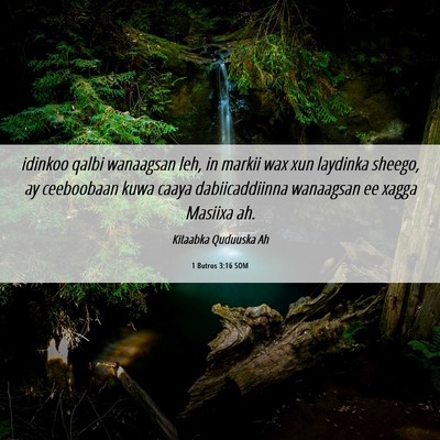 Picture 06 - 1 Butros 3:16 SOM - idinkoo qalbi wanaagsan leh, in markii wax xun - Bible Verse Picture