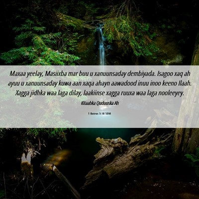 Picture 06 - 1 Butros 3:18 SOM - Maxaa yeelay, Masiixba mar buu u xanuunsaday - Bible Verse Picture