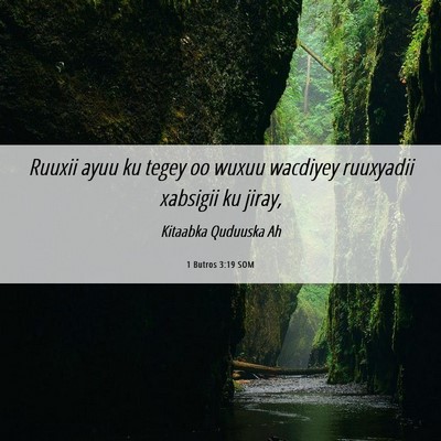 Picture 06 - 1 Butros 3:19 SOM - Ruuxii ayuu ku tegey oo wuxuu wacdiyey ruuxyadii - Bible Verse Picture