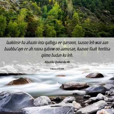 Picture 06 - 1 Butros 3:4 SOM - laakiinse ha ahaato inta qalbiga ee qarsoon, - Bible Verse Picture
