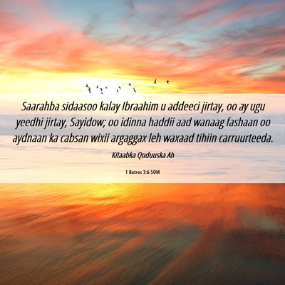 Picture 06 - 1 Butros 3:6 SOM - Saarahba sidaasoo kalay Ibraahim u addeeci - Bible Verse Picture
