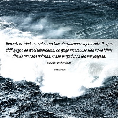 Picture 06 - 1 Butros 3:7 SOM - Nimankow, idinkuna sidaas oo kale afooyinkiinna - Bible Verse Picture