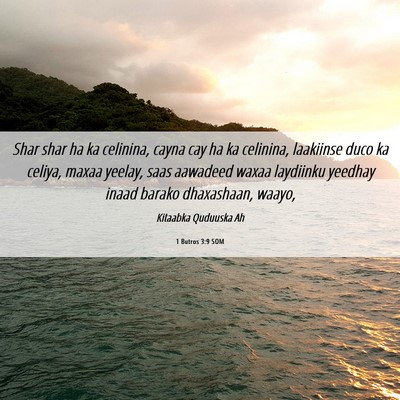 Picture 06 - 1 Butros 3:9 SOM - Shar shar ha ka celinina, cayna cay ha ka - Bible Verse Picture