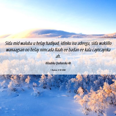 Picture 06 - 1 Butros 4:10 SOM - Sida mid waluba u helay hadiyad, idinku isu - Bible Verse Picture