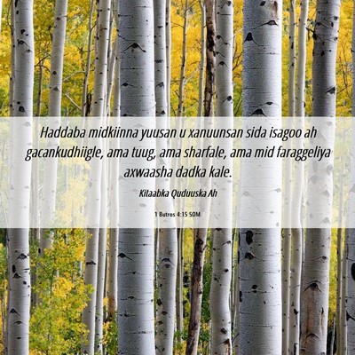 Picture 06 - 1 Butros 4:15 SOM - Haddaba midkiinna yuusan u xanuunsan sida isagoo - Bible Verse Picture