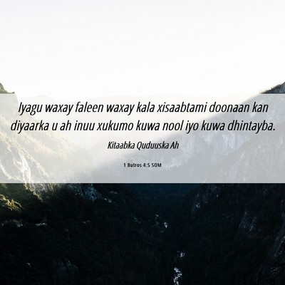 Picture 06 - 1 Butros 4:5 SOM - Iyagu waxay faleen waxay kala xisaabtami doonaan - Bible Verse Picture