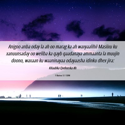 Picture 06 - 1 Butros 5:1 SOM - Anigoo anba oday la ah oo marag ka ah waxyaalihii - Bible Verse Picture