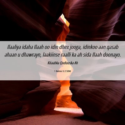 Picture 06 - 1 Butros 5:2 SOM - Ilaaliya idaha Ilaah oo idin dhex jooga, idinkoo - Bible Verse Picture