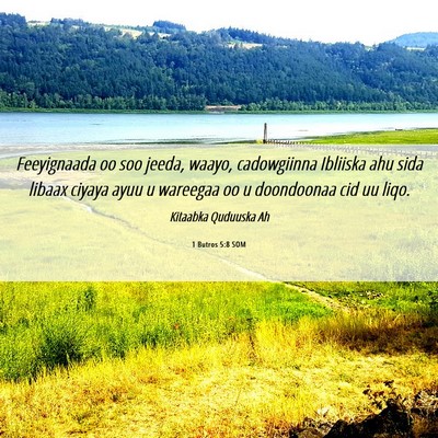 Picture 06 - 1 Butros 5:8 SOM - Feeyignaada oo soo jeeda, waayo, cadowgiinna - Bible Verse Picture
