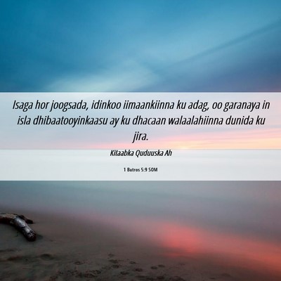 Picture 06 - 1 Butros 5:9 SOM - Isaga hor joogsada, idinkoo iimaankiinna ku adag, - Bible Verse Picture